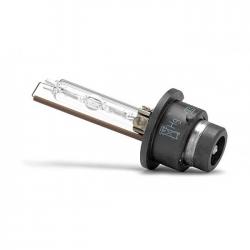 Ampoule Xenon D2S