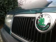 Skoda logo